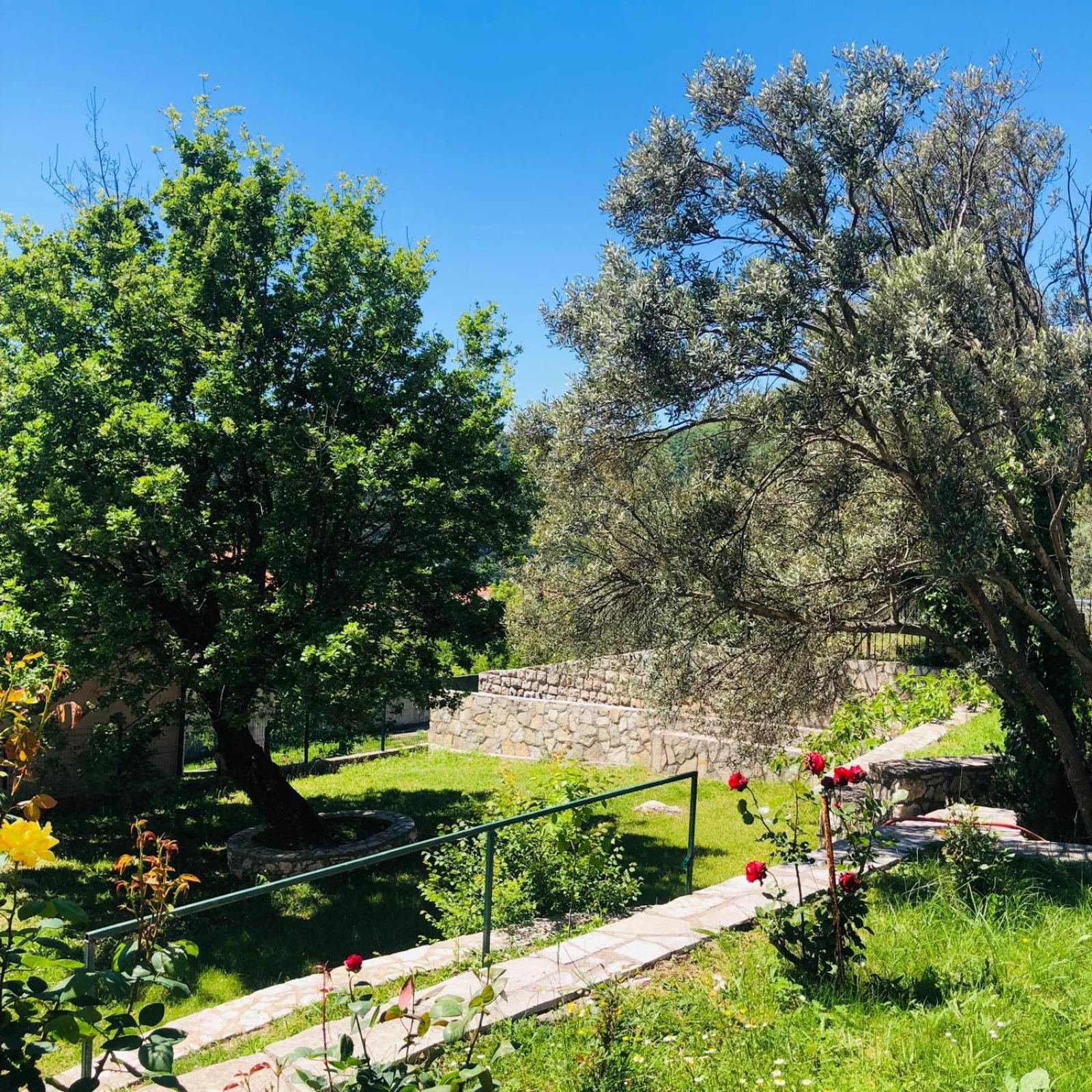 Vila Oaza Markovici Budva Exteriör bild